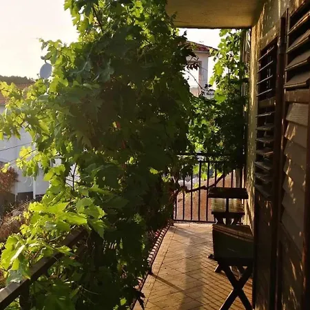 Adriatico Zaton (Sibenik-Knin)
