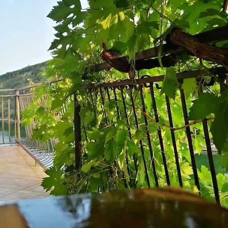 Adriatico Zaton (Sibenik-Knin)