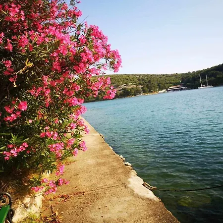 Adriaaticoo Apartman Zaton