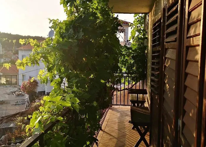 Adriatico Zaton (Sibenik-Knin)